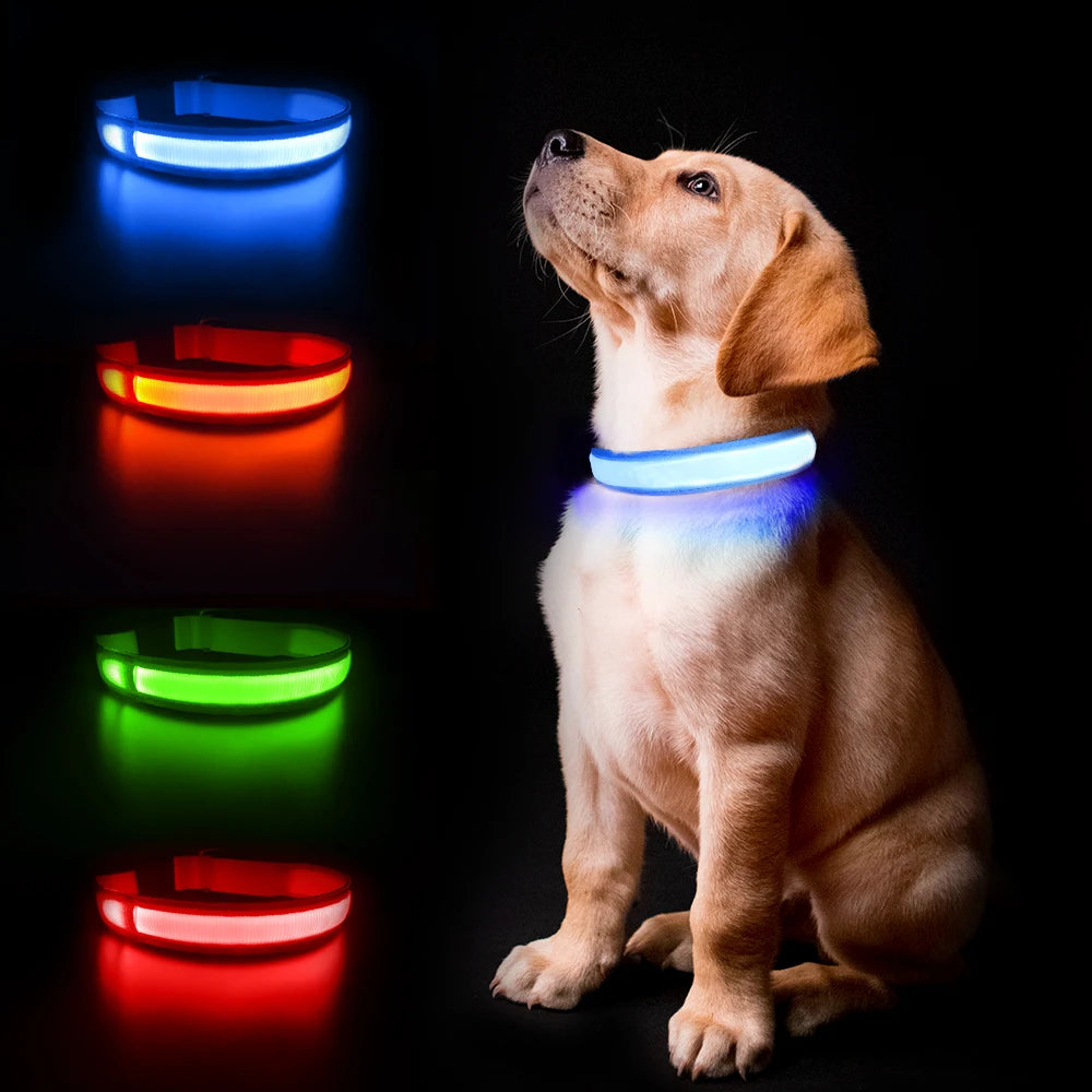 Luminous Dog  Waterpoof Safety Collars - All About Variety