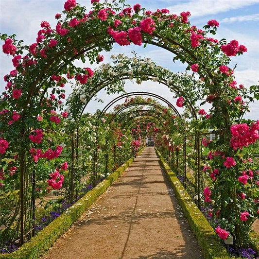 Heavy Duty Metal Garden Arch Trellis