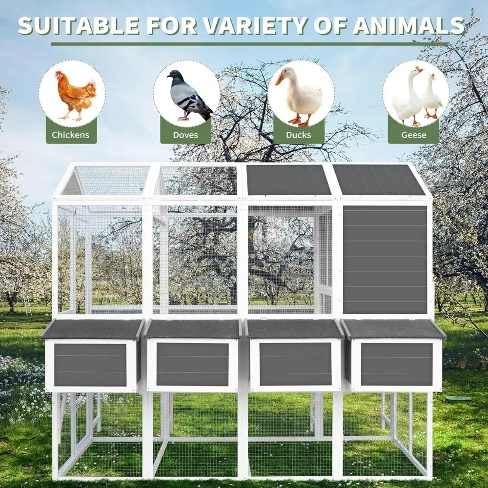 Garden Backyard Chickens Coops - All About Variety